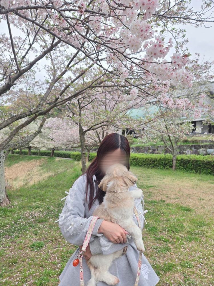 お花見してきたよ🌸🐶