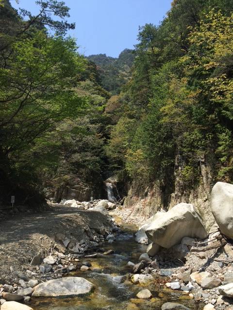 16時半くらいのお客様