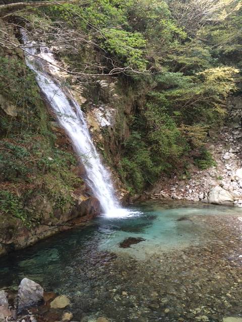 早紀【短期】