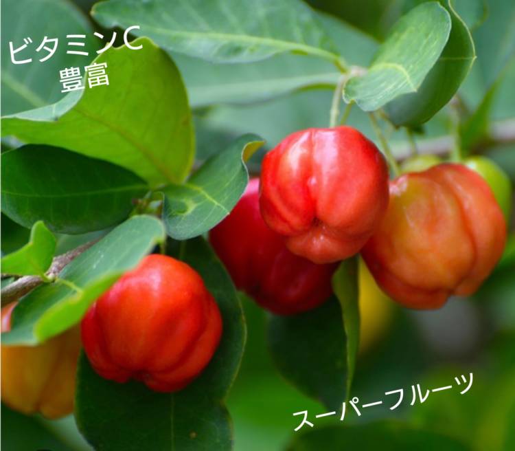 恵子【人妻割】