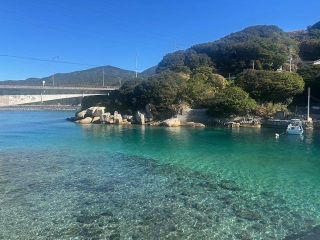 早紀【短期】