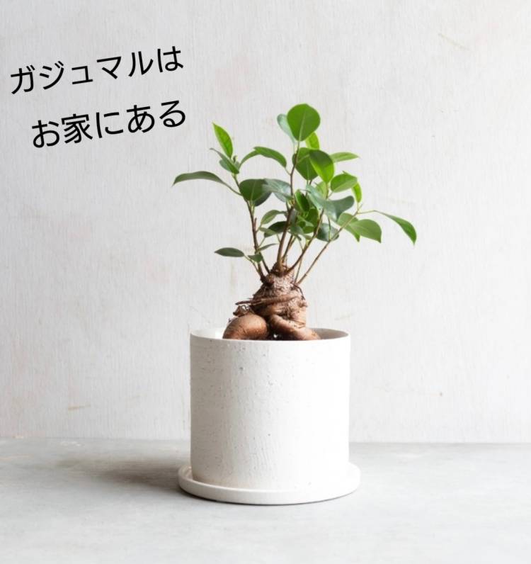 恵子【人妻割】