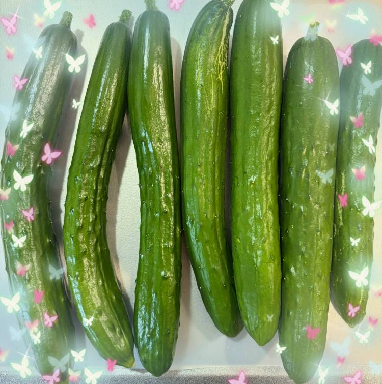 最近の楽しみ🩷