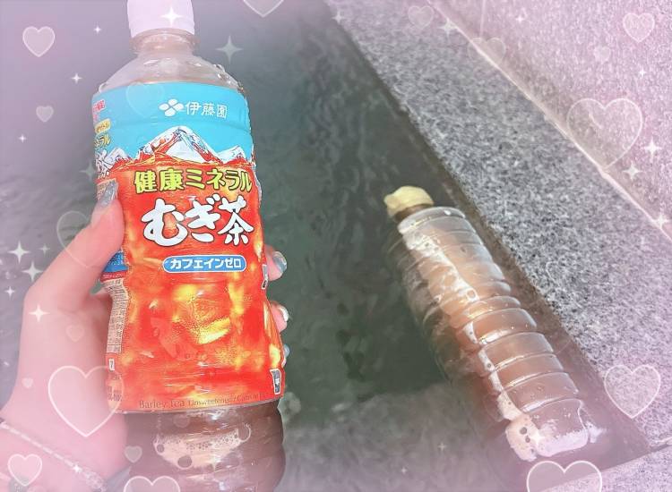 杏（あん）