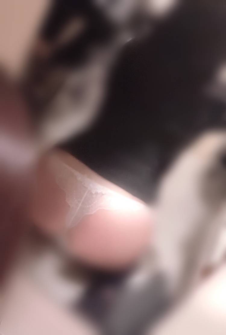 亜紀