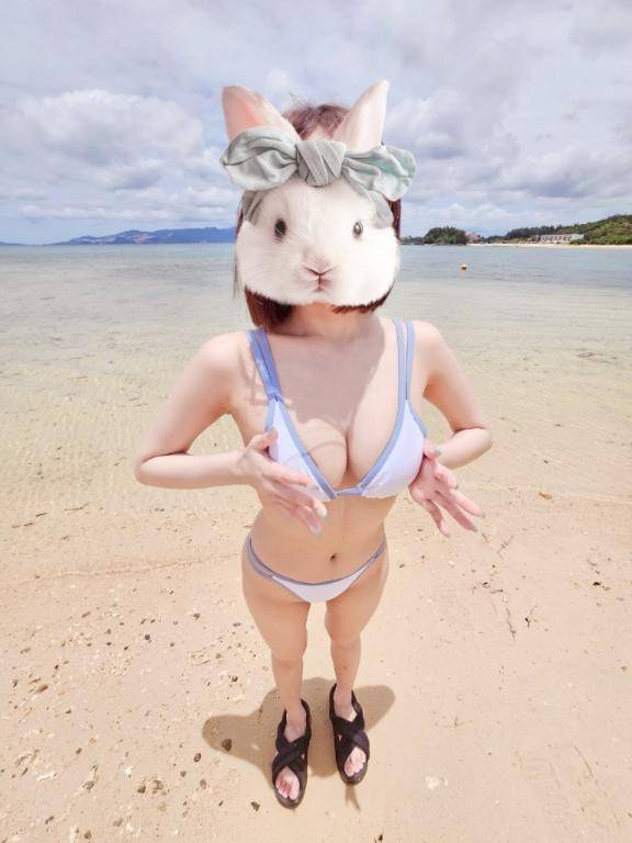 しゅっきん！！