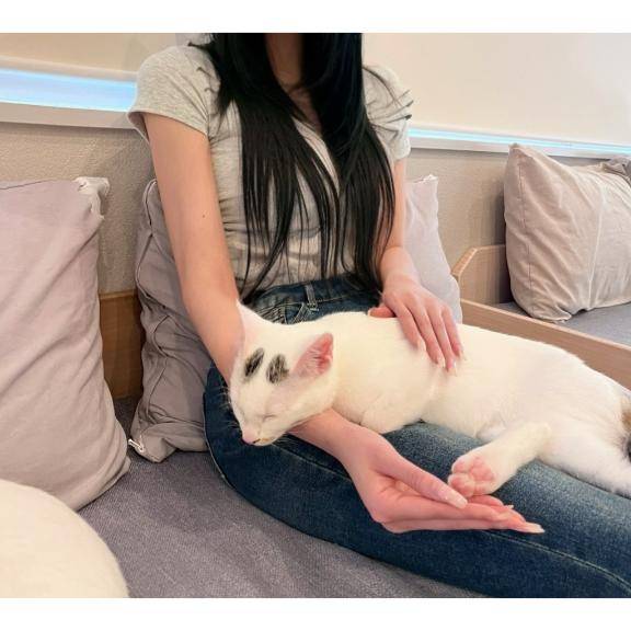 ?癒しパワー?