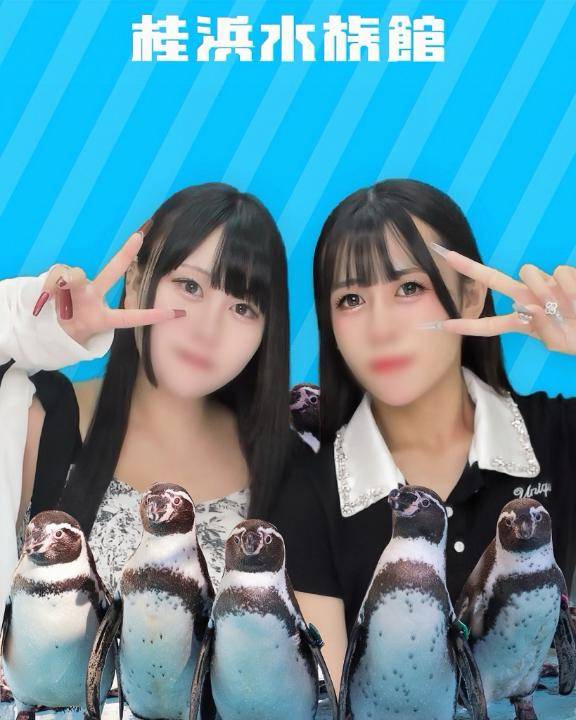 ?高知観光Vol.1?