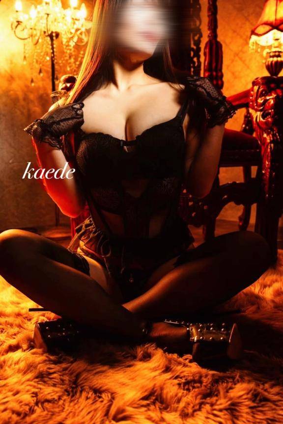 久しぶりの高知遠征