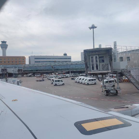 珍棒論者なので?