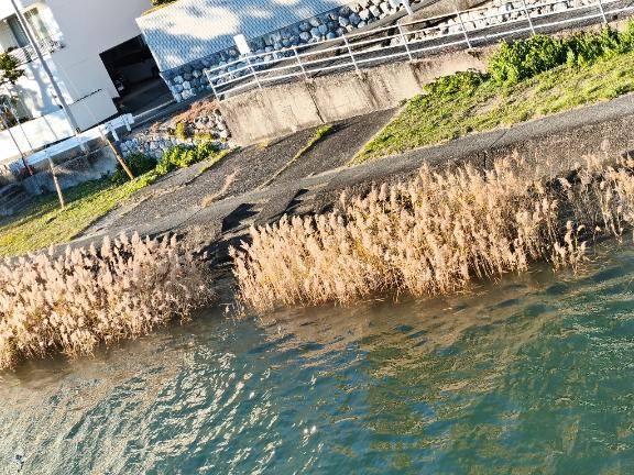 あのイーハトーブの透き通った空