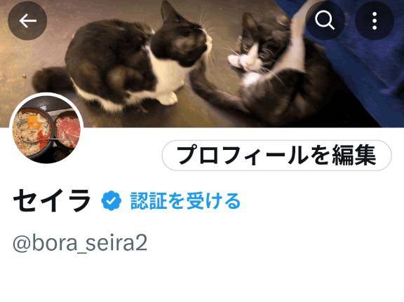 ミスヘブン中に凍結したので、新しくＸ作りました???