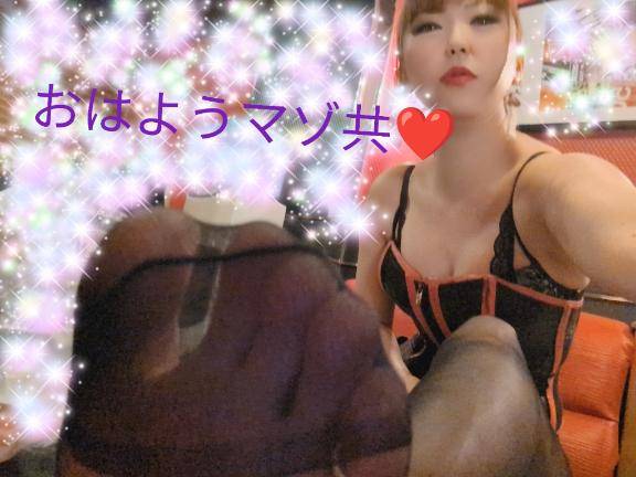 おはようマゾ共、たくさん鳴いてちょうだい??????