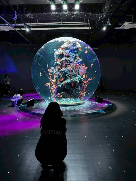 (∩'-'⊂)ｼｭｯ