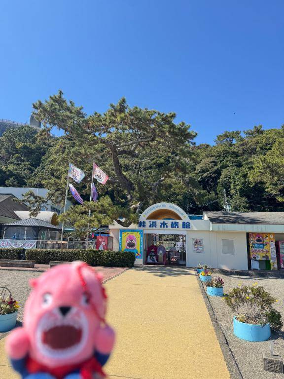 桂浜水族館に行ってきた