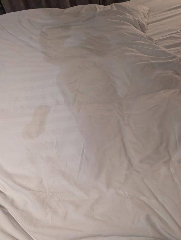 おはにーついでにえろにー