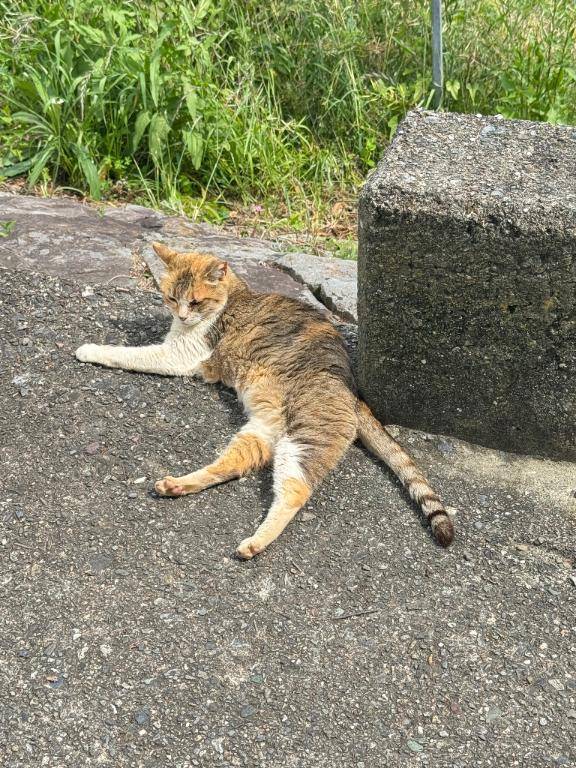 エリさんの休日2日目