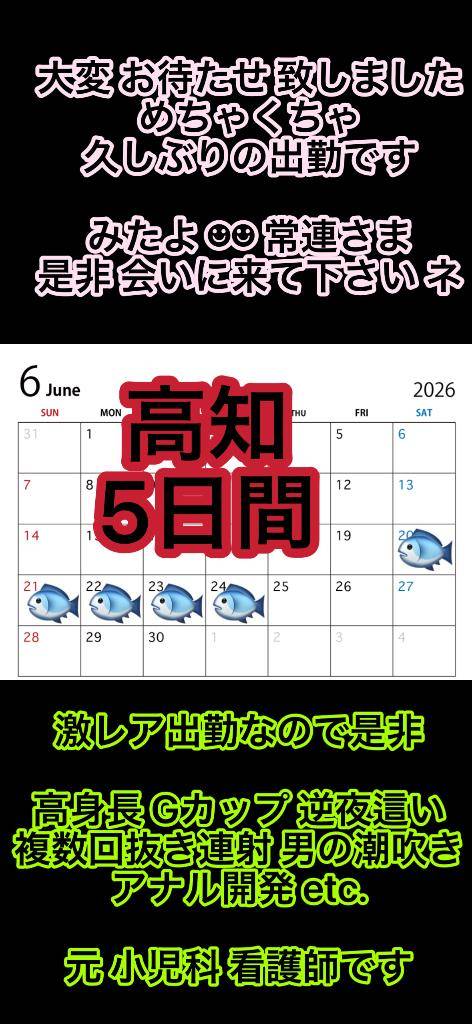 高知??確定