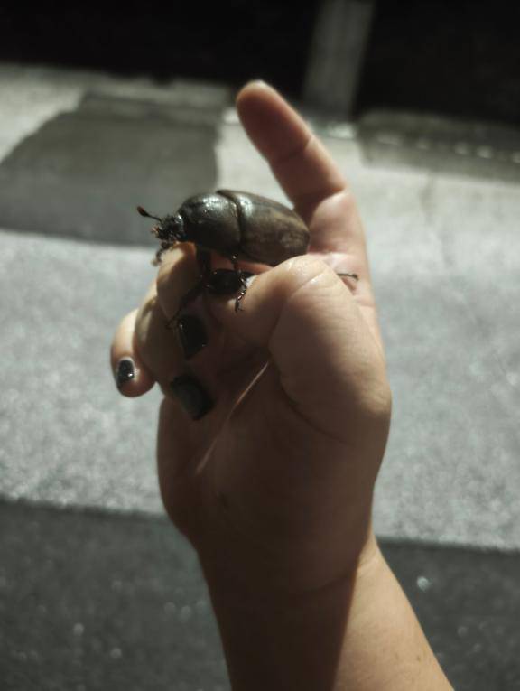 出勤を上げて、えらい