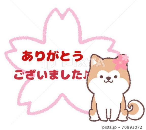 今日来て頂いたお兄様方へ☆