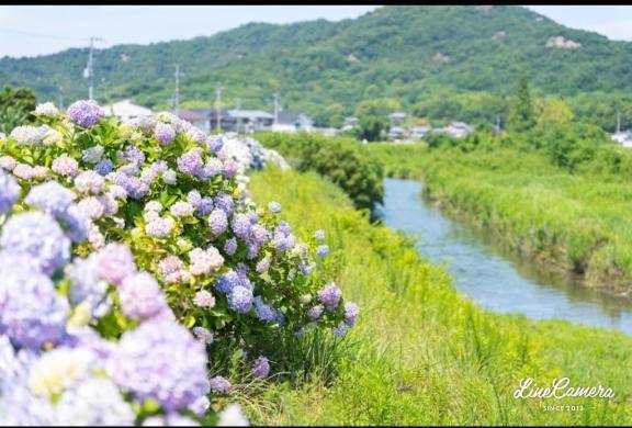 朝活☀️いいねー☀️🌈