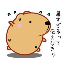 お礼 💌 都市伝説かと思ってたヨ！😂