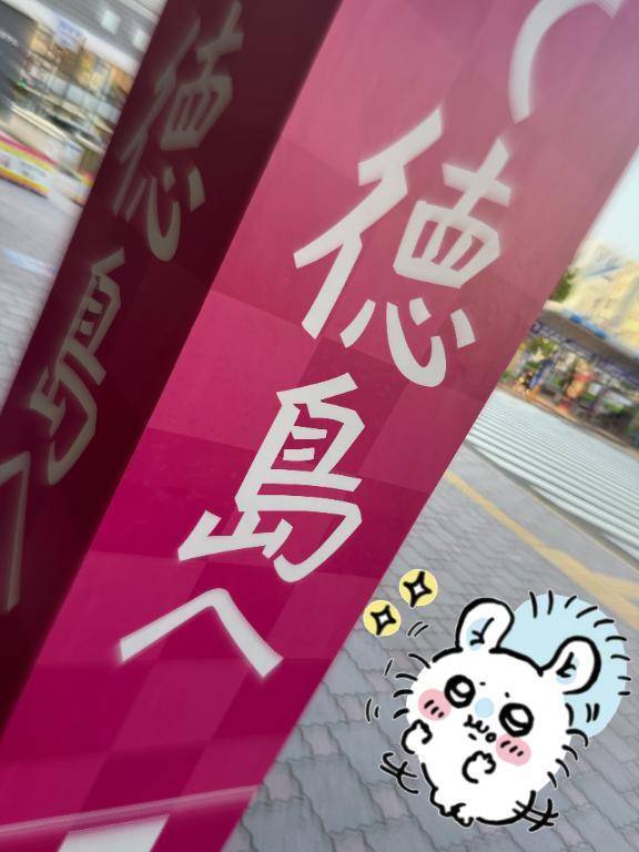 今回もきたよ✨🐱