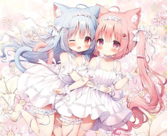 🕊ありがとう💌
