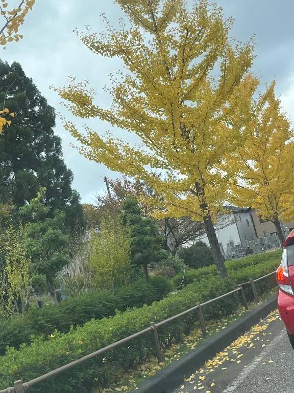 紅葉シーズン🍁