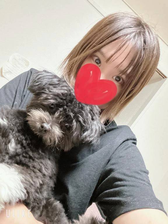 本日19時からラストでお願いします!🥺🥺