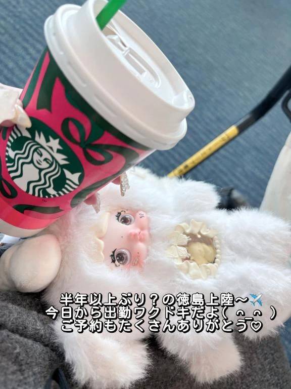 徳島とうちゃくー！✈️