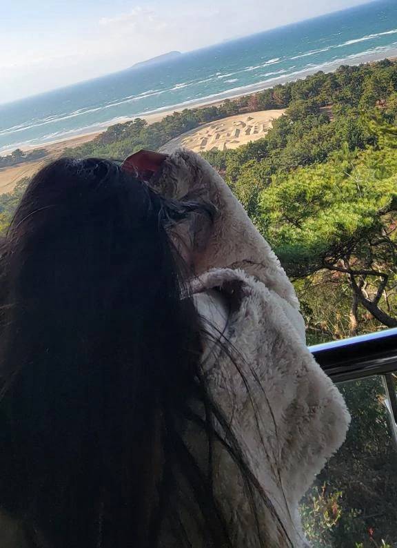 お兄様にお願いです🙇‍♀️【定期】