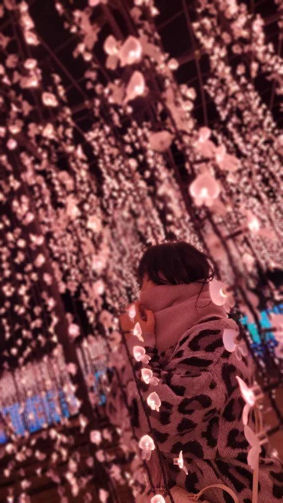 土曜日から…！✨