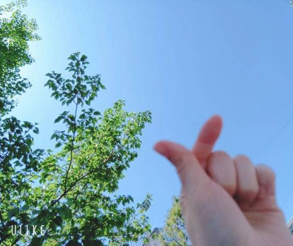 (∩'-'⊂)ｼｭｯ