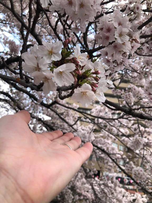 明日からね🐰ྀི🩷