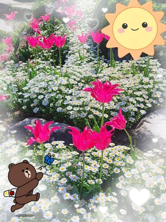 休日は〜🍀