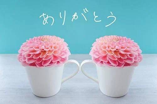 ありがとうございました🤗💕