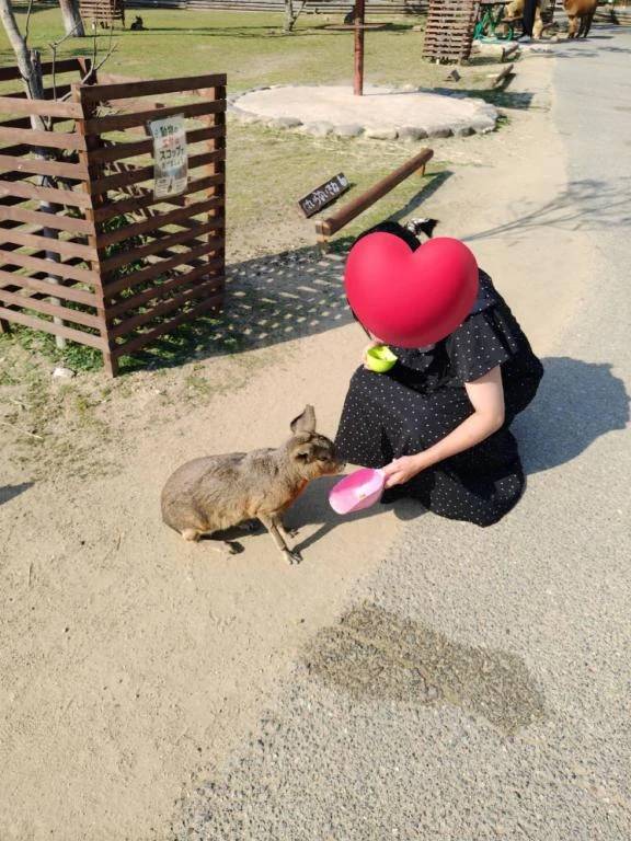 本日出勤します！！❤️