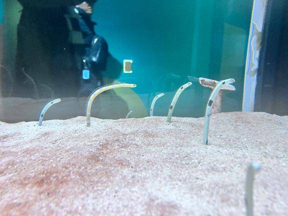 おはようございます??