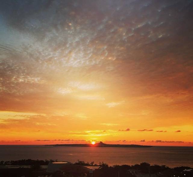 ありがとうございました(o^^o)?