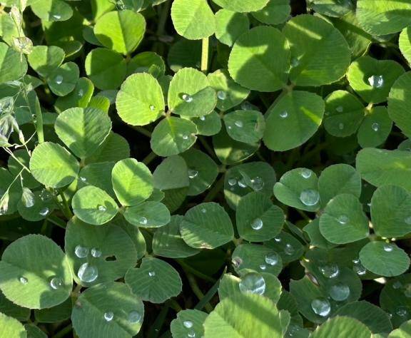 すみません??♀??