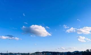 ありがとうございました(o^^o)?