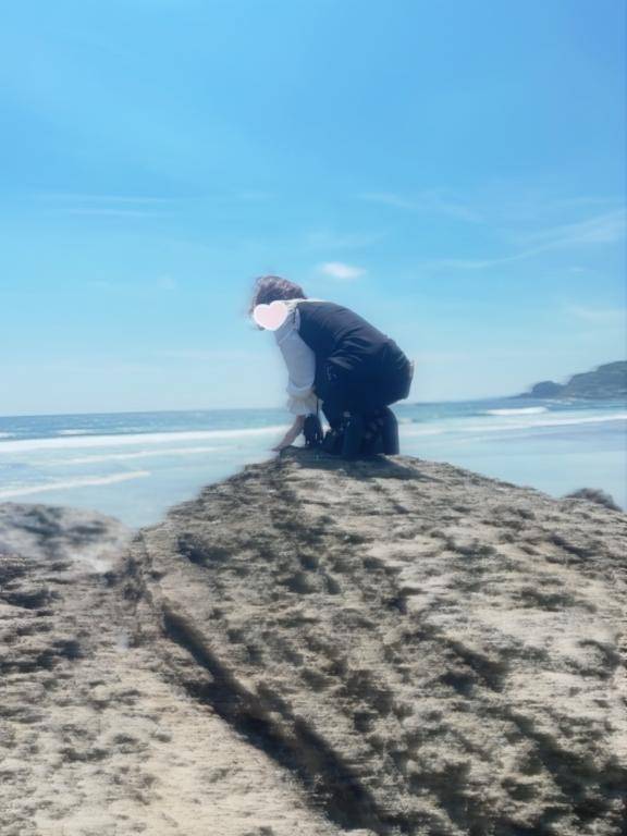 ?見るのが楽しい?