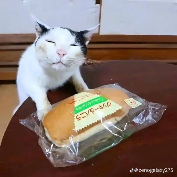 すみません??