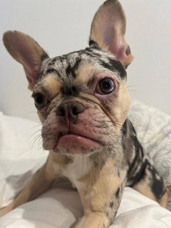 お礼です🙇🏼🎀