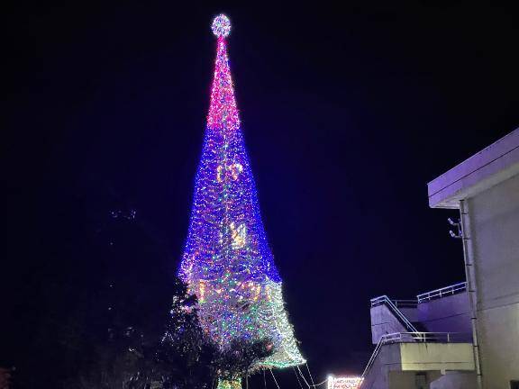 本日から入店しました