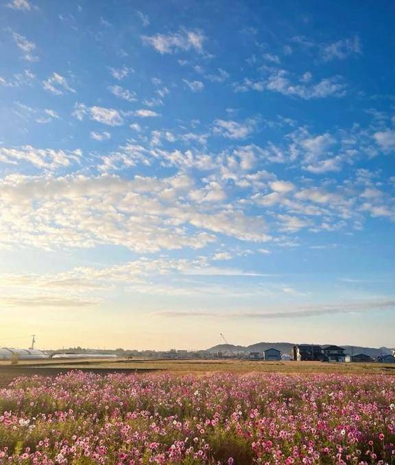 ♡ありがとうございました^ ^♡