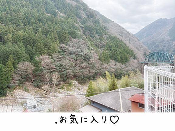 花粉症には花粉を🌲