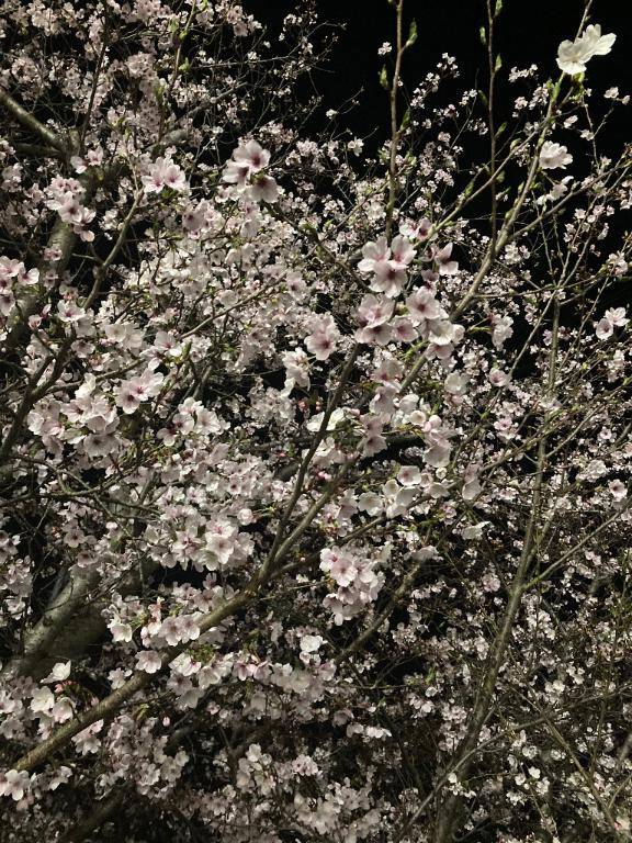 12:00～出勤♡♡