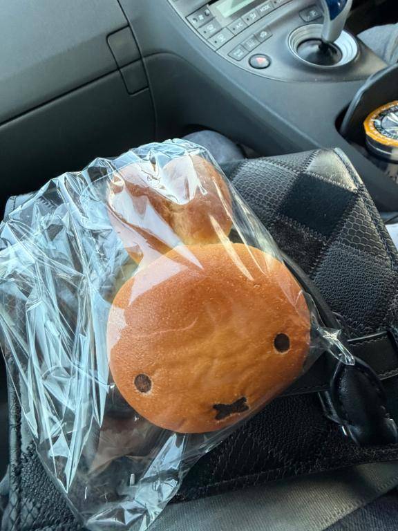 今日のひとりごと‎🤍